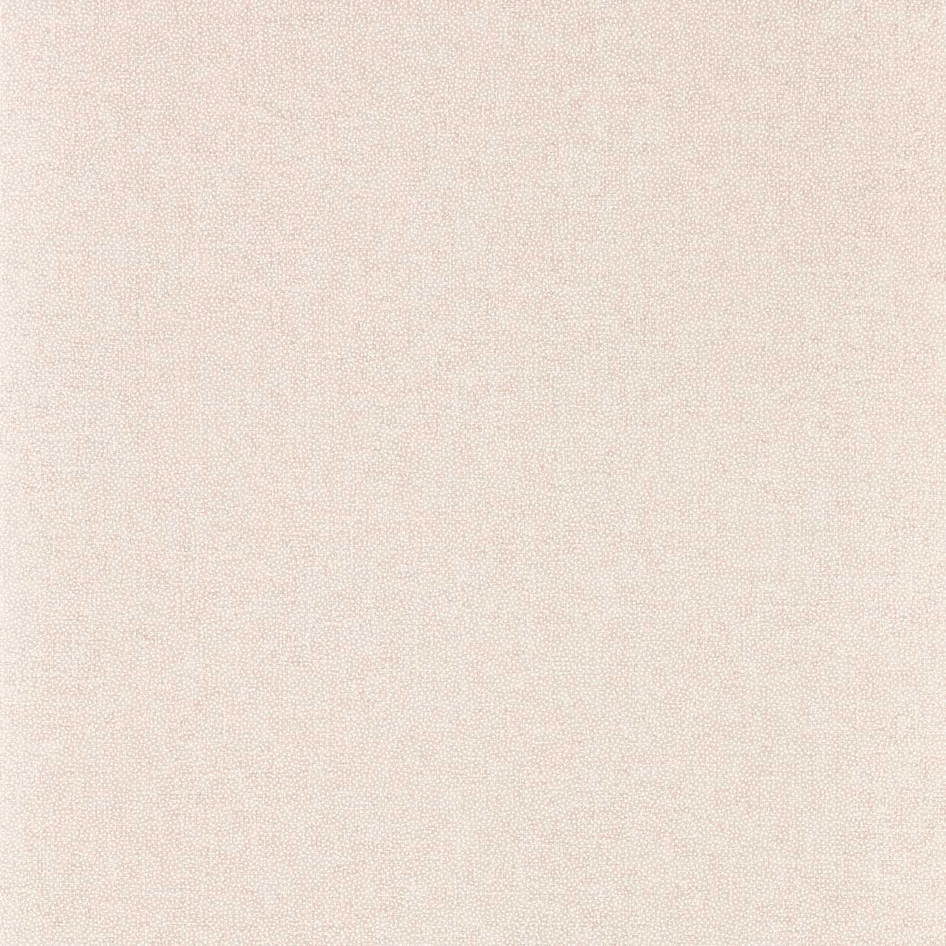 Pale blush-pink plain wallpaper with a fine, softly mottled surface texture