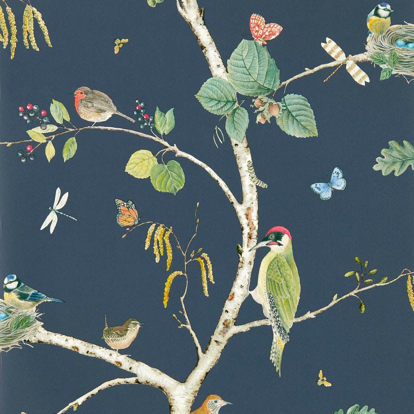 Charcoal-blue wallpaper with colourful birds, birch branches, butterflies and botanical foliage