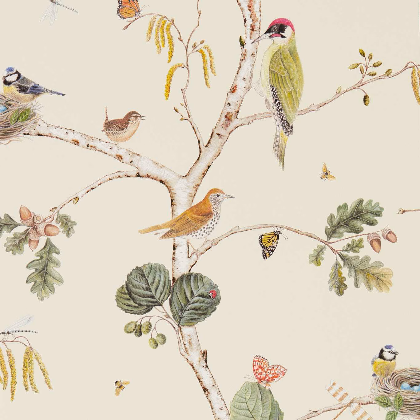 Cream wallpaper with red-capped green bird, birch branches, oak leaves and butterflies