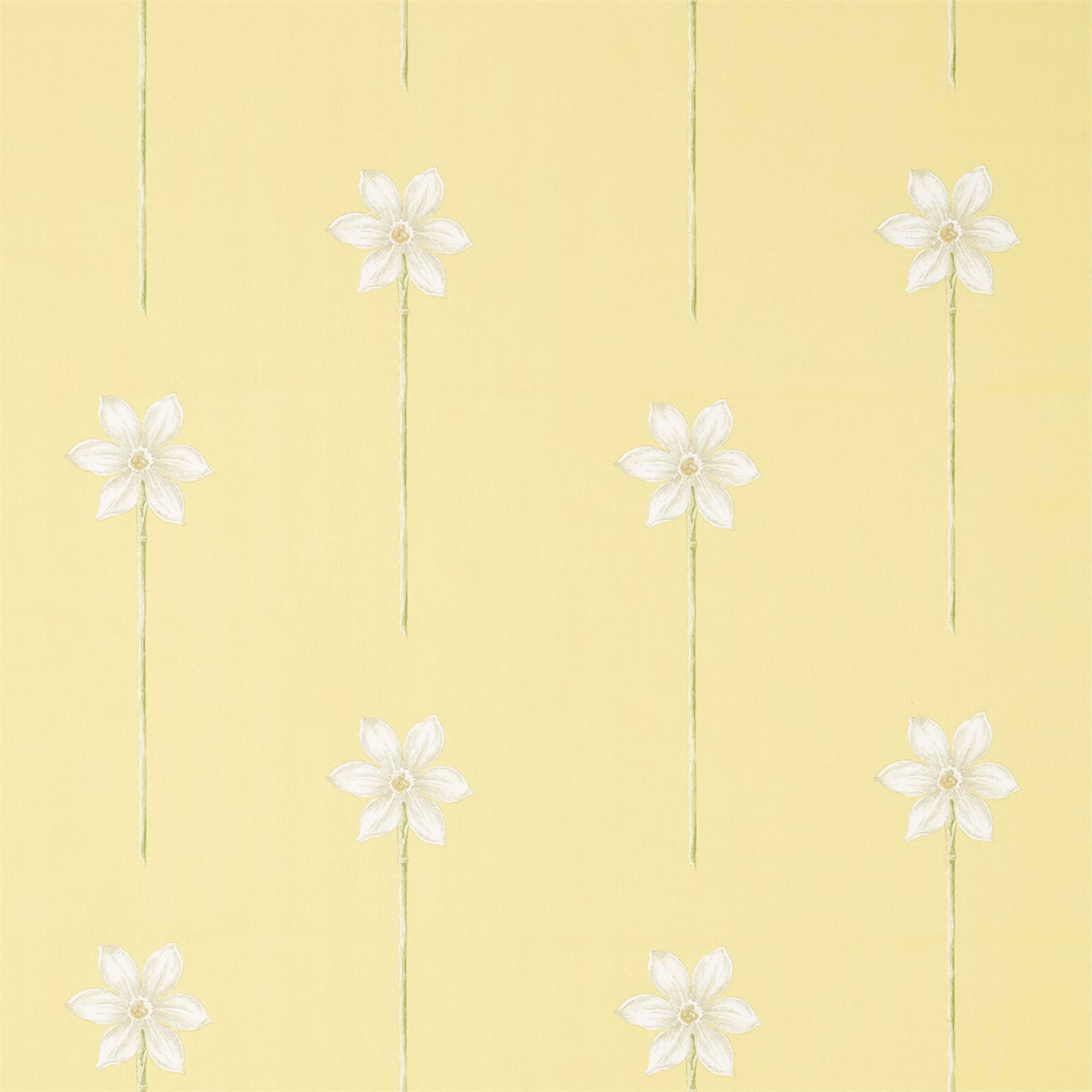 Pale daffodil-yellow floral fabric with white blossoms and slim green stems