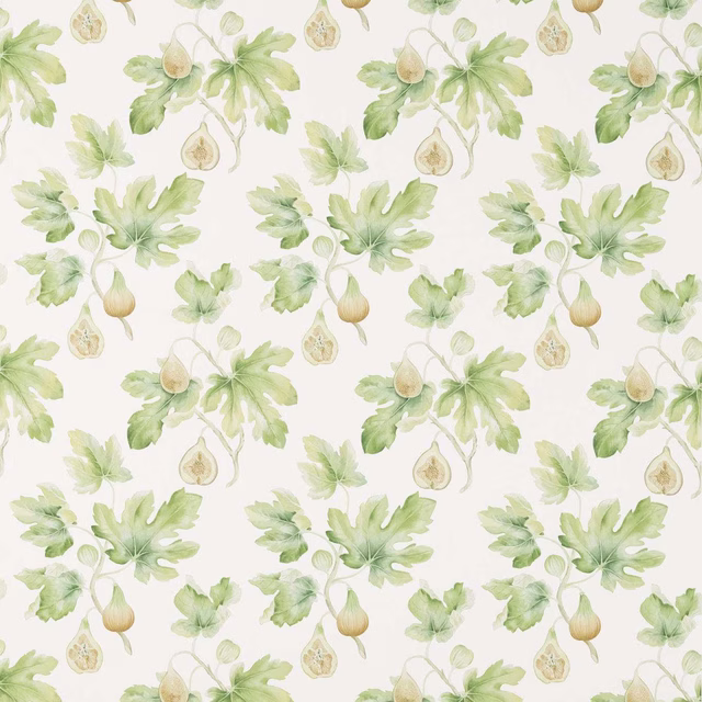 Watercolour fig and leaf botanical print in soft green on a pale ground