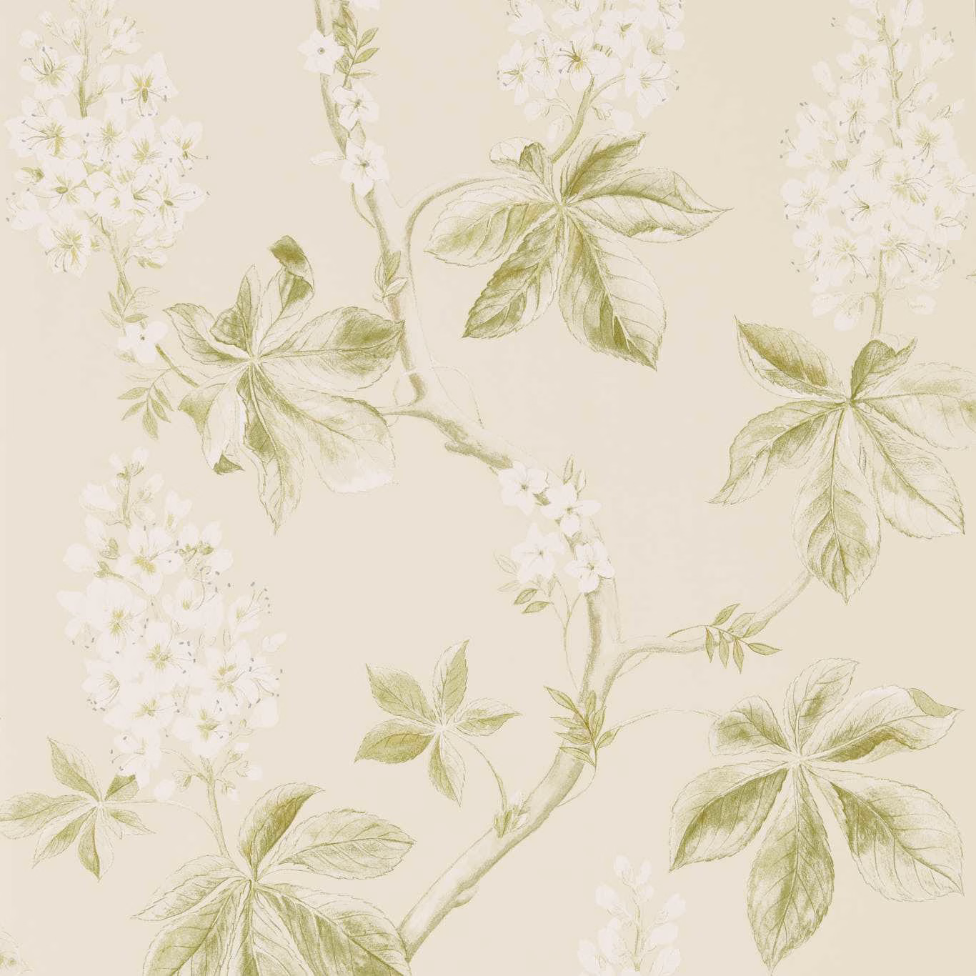 Warm cream wallpaper with pale lettuce leaves, lemon stems and white blossoms