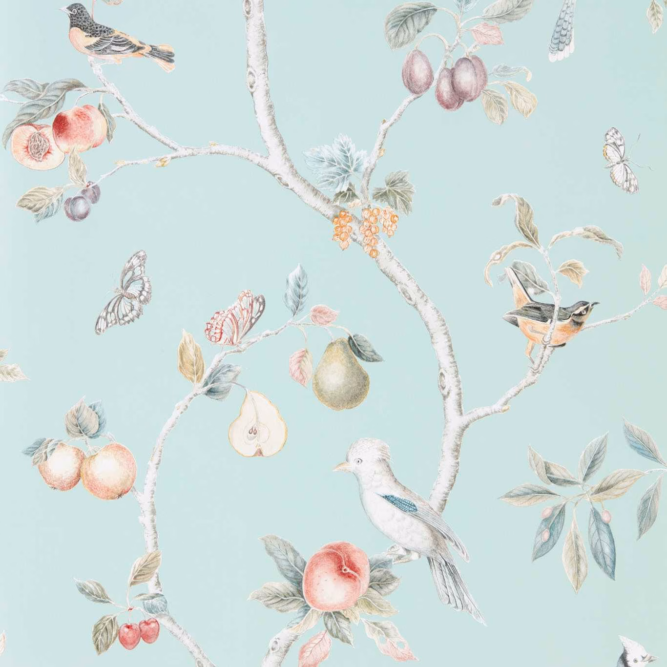Pale duck-egg wallpaper with illustrated birds, fruit, branches and butterflies