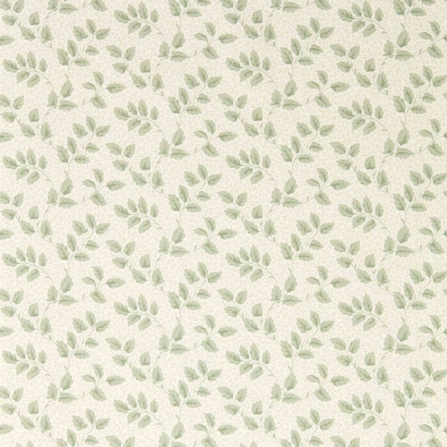 Soft sage leafy sprigs scattered across a warm cream textured wallpaper ground