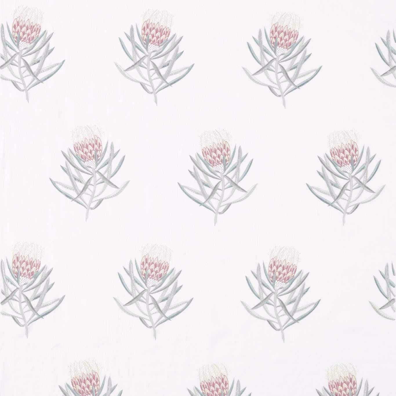 White fabric swatch with repeated pale protea flowers in blush and sage tones