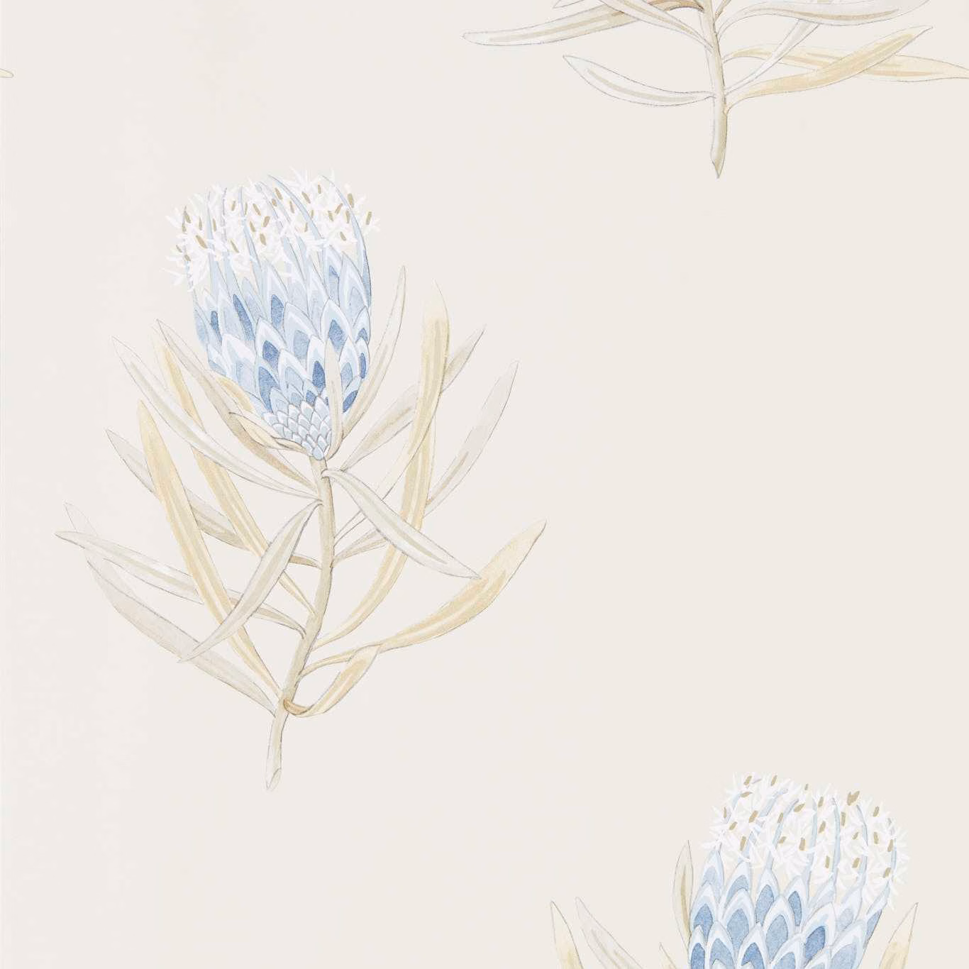 China-blue protea blooms with pale ochre leaves on a warm canvas ground