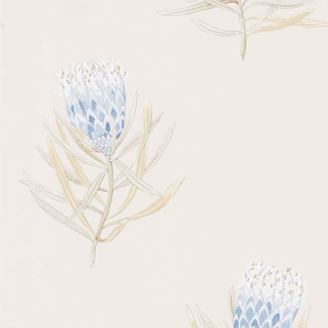 China-blue protea blooms with pale ochre leaves on a warm canvas ground
