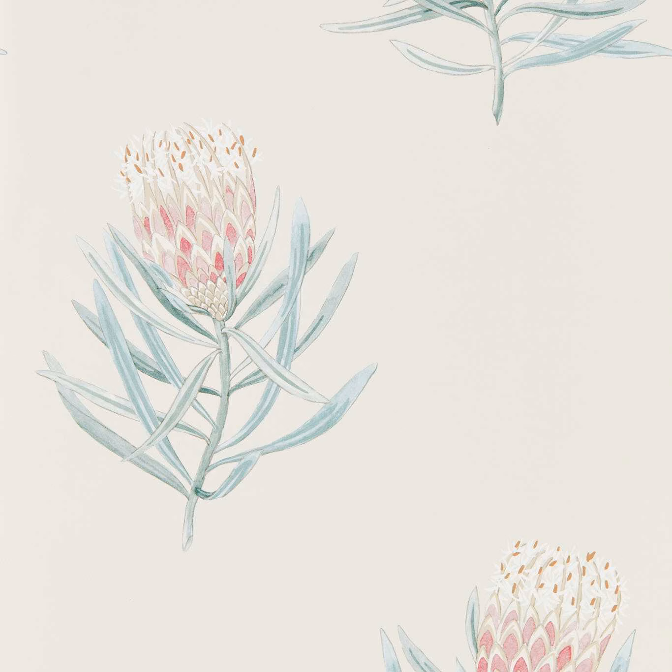 Porcelain wallpaper with blush proteas and pale blue-green botanical stems