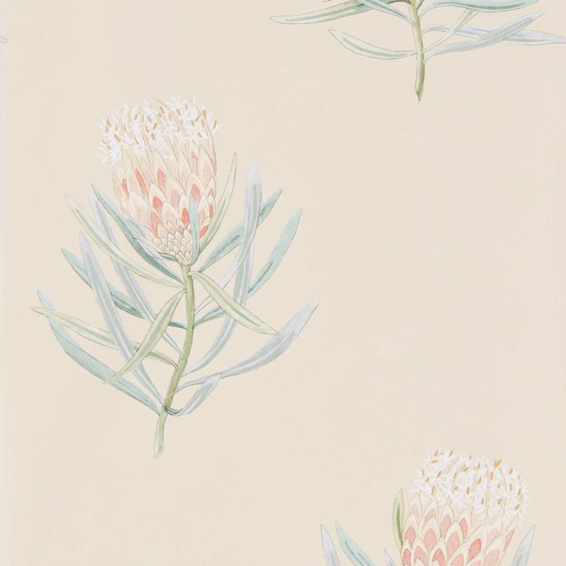 Cream wallpaper with russet protea blooms and pale sage-blue leaves