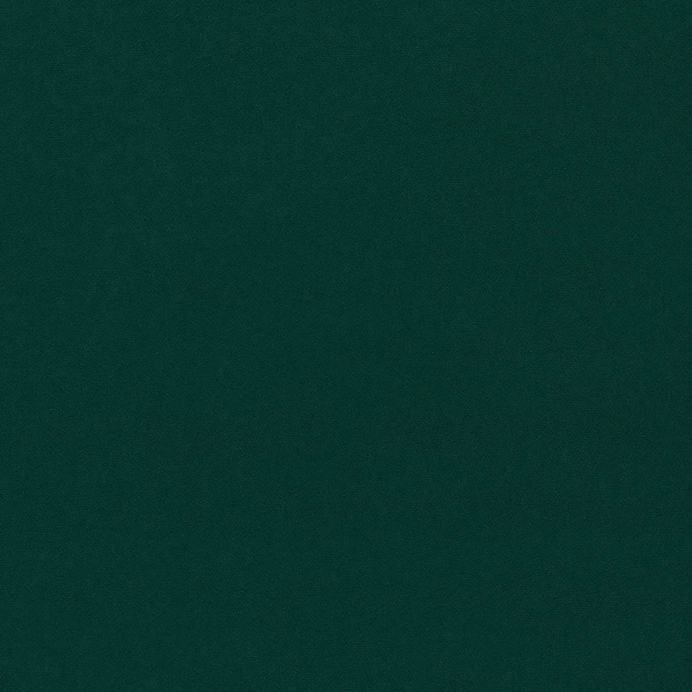 Deep forest green velvet swatch with a smooth, low-sheen pile