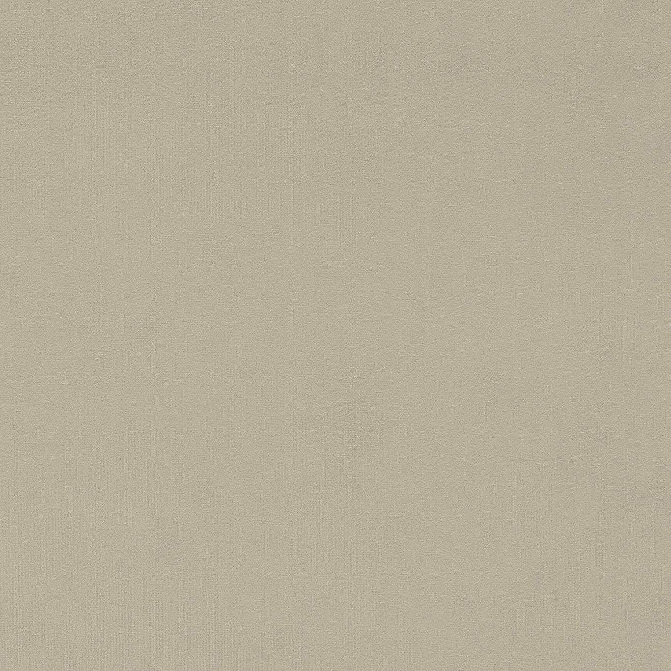 Warm cream plain velvet swatch with a soft, dense pile