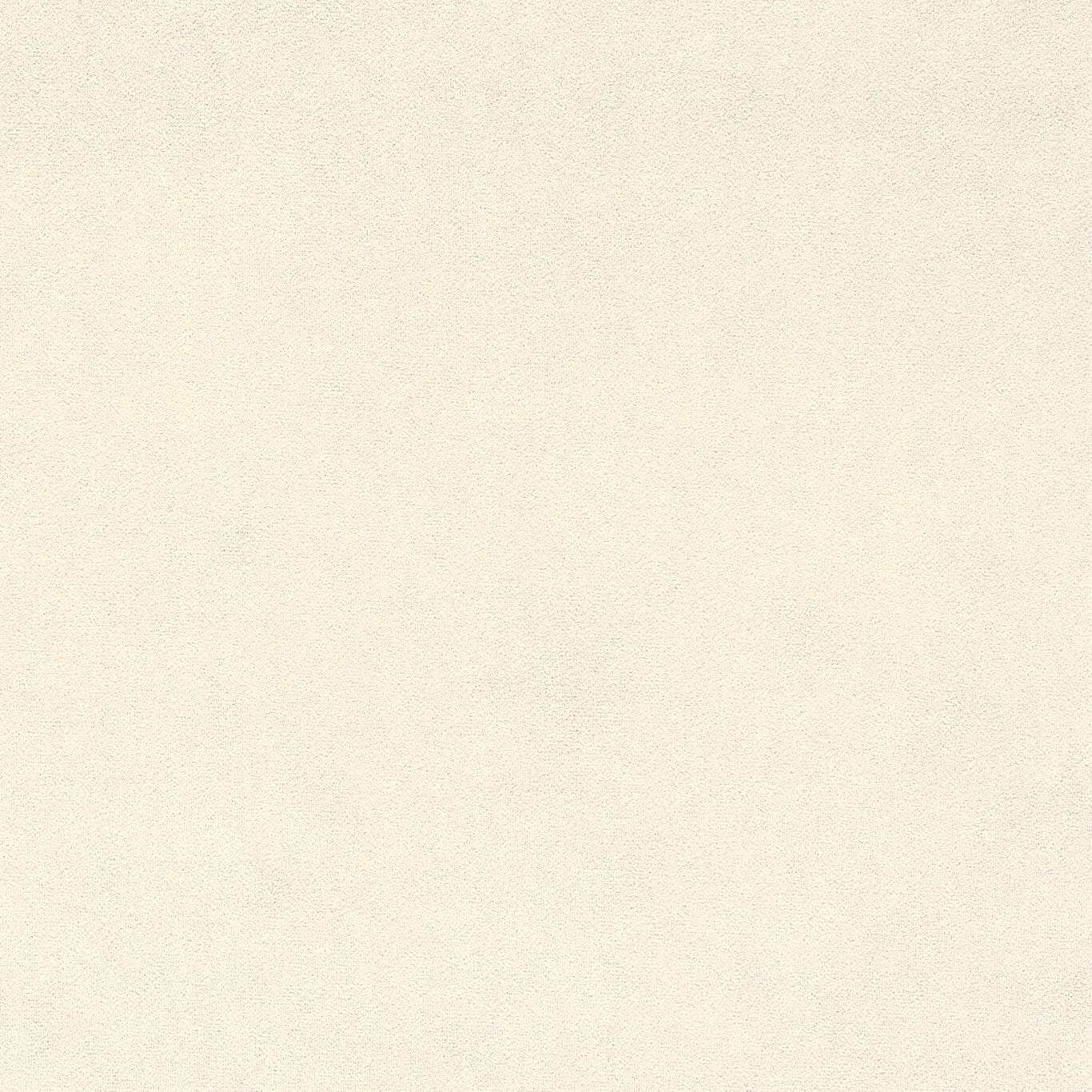 Close-up of soft ivory plain velvet with a smooth, fine pile