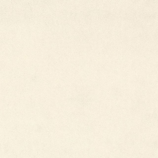 Close-up of soft ivory plain velvet with a smooth, fine pile