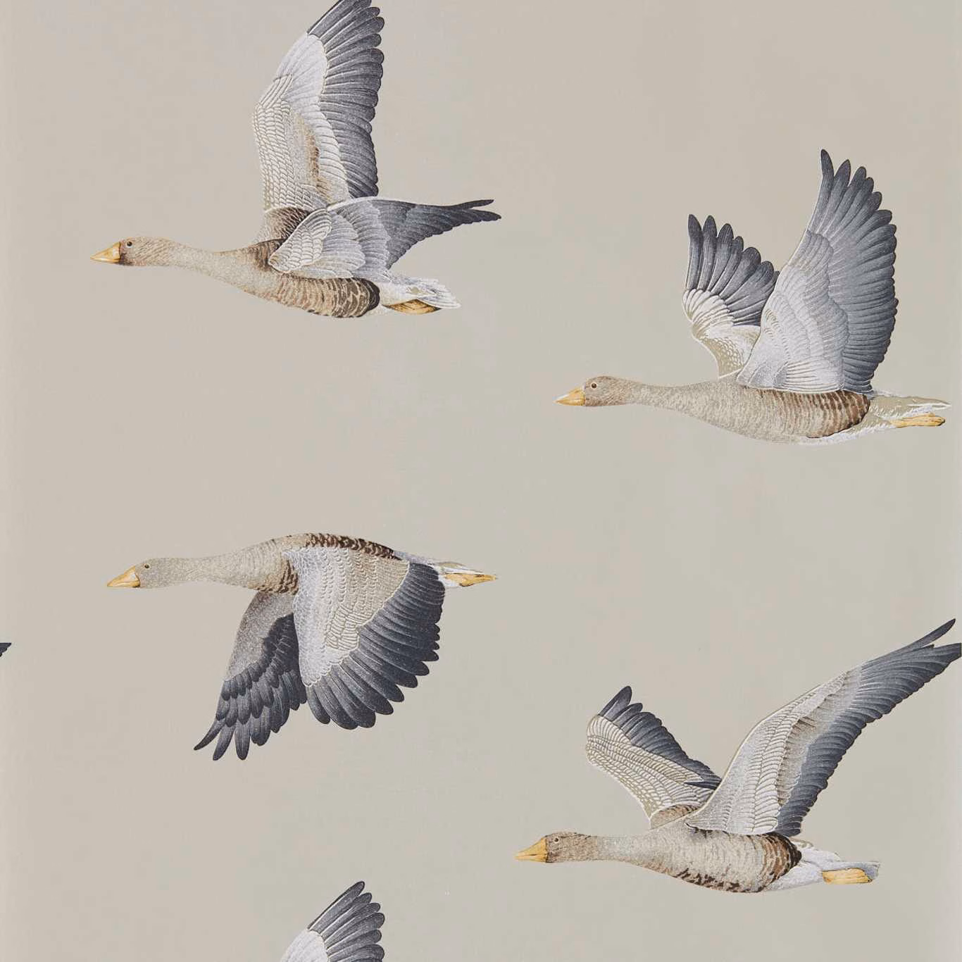 Silver-grey wallpaper with illustrated geese flying in varied wing positions