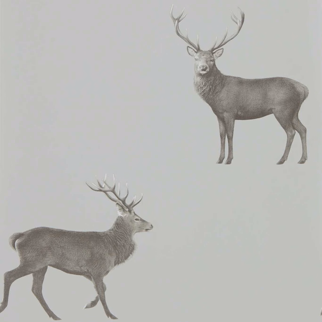 Cool silver-grey wallpaper showing two softly shaded stags, one frontal and one in profile