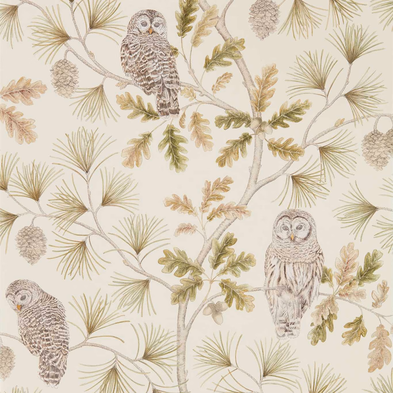 Ivory wallpaper with illustrated owls, pine sprays, oak leaves and muted olive foliage