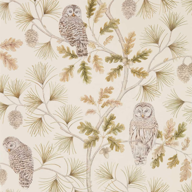 Ivory wallpaper with illustrated owls, pine sprays, oak leaves and muted olive foliage