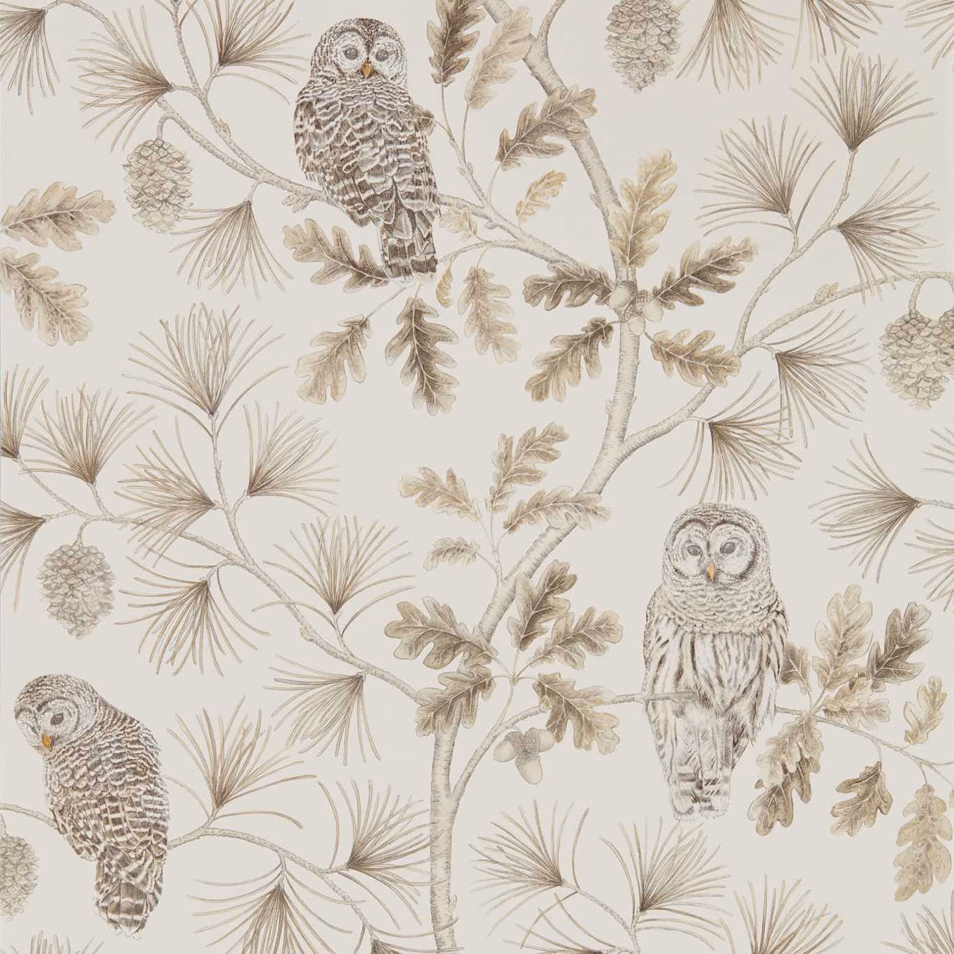 Warm ivory wallpaper with taupe owls, pine sprays, oak leaves and branching stems