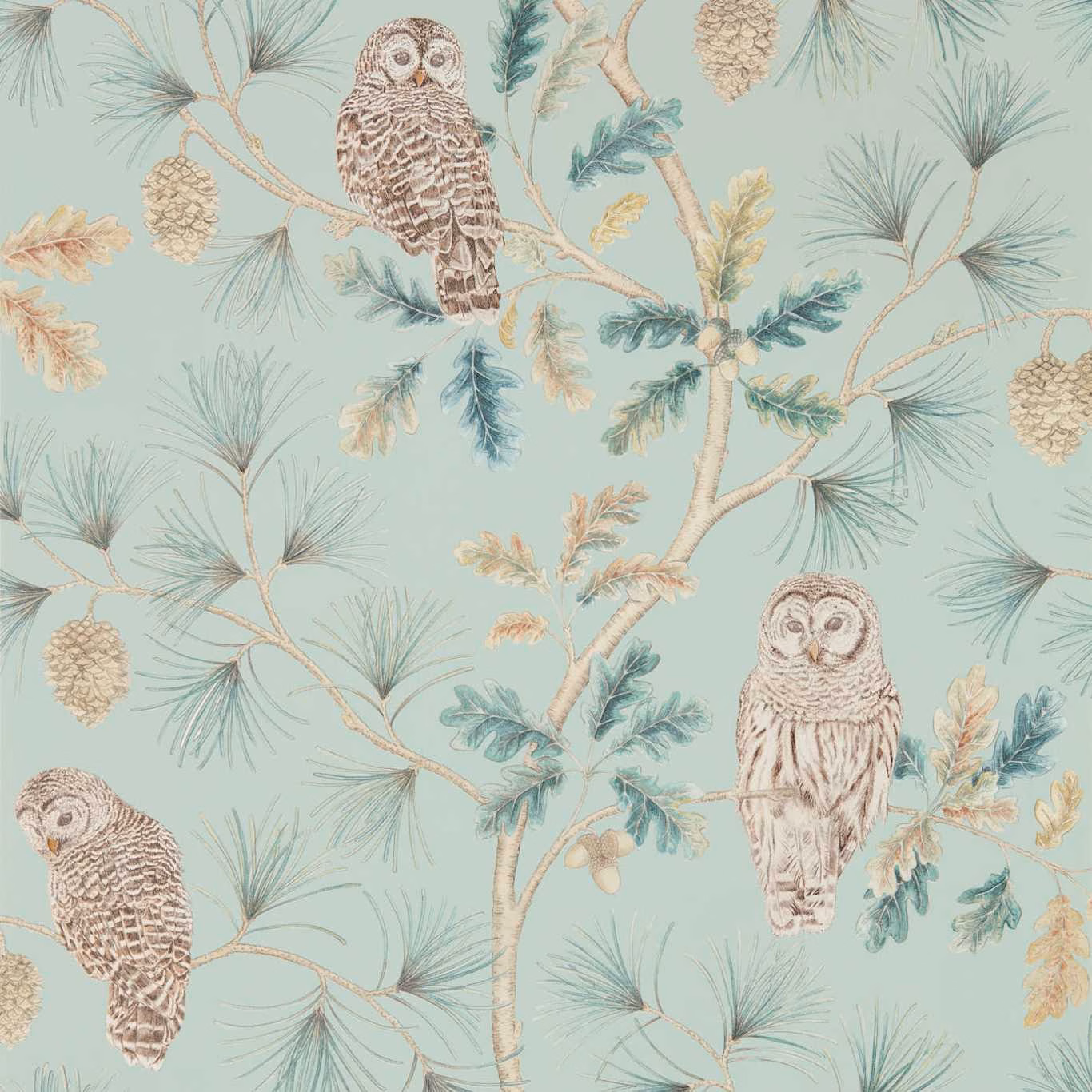 Muted blue-green wallpaper with cream owls, pine branches, cones and delicate botanical details