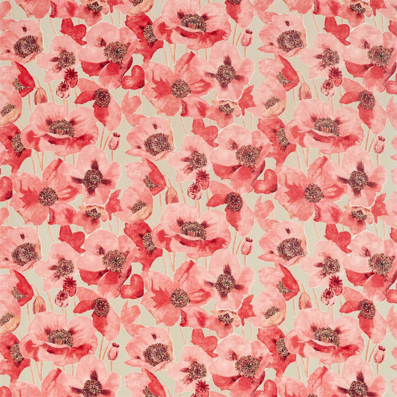 Painterly red and blush poppy floral on a pale linen ground