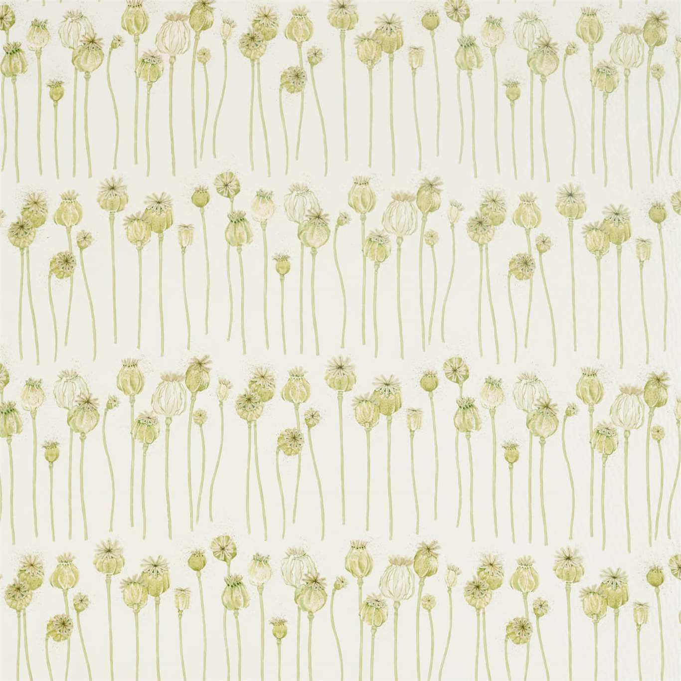 Olive green poppy pods with long stems on an almond fabric ground