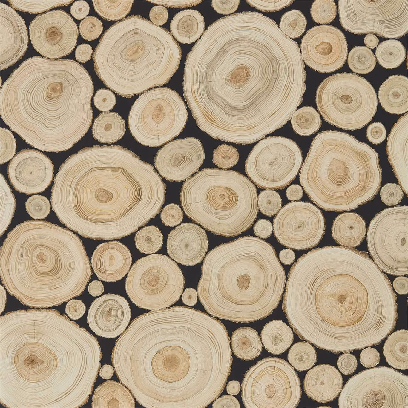 Cream and tan log cross-sections scattered across a deep black ground