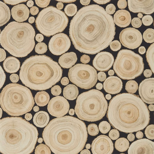 Cream and tan log cross-sections scattered across a deep black ground
