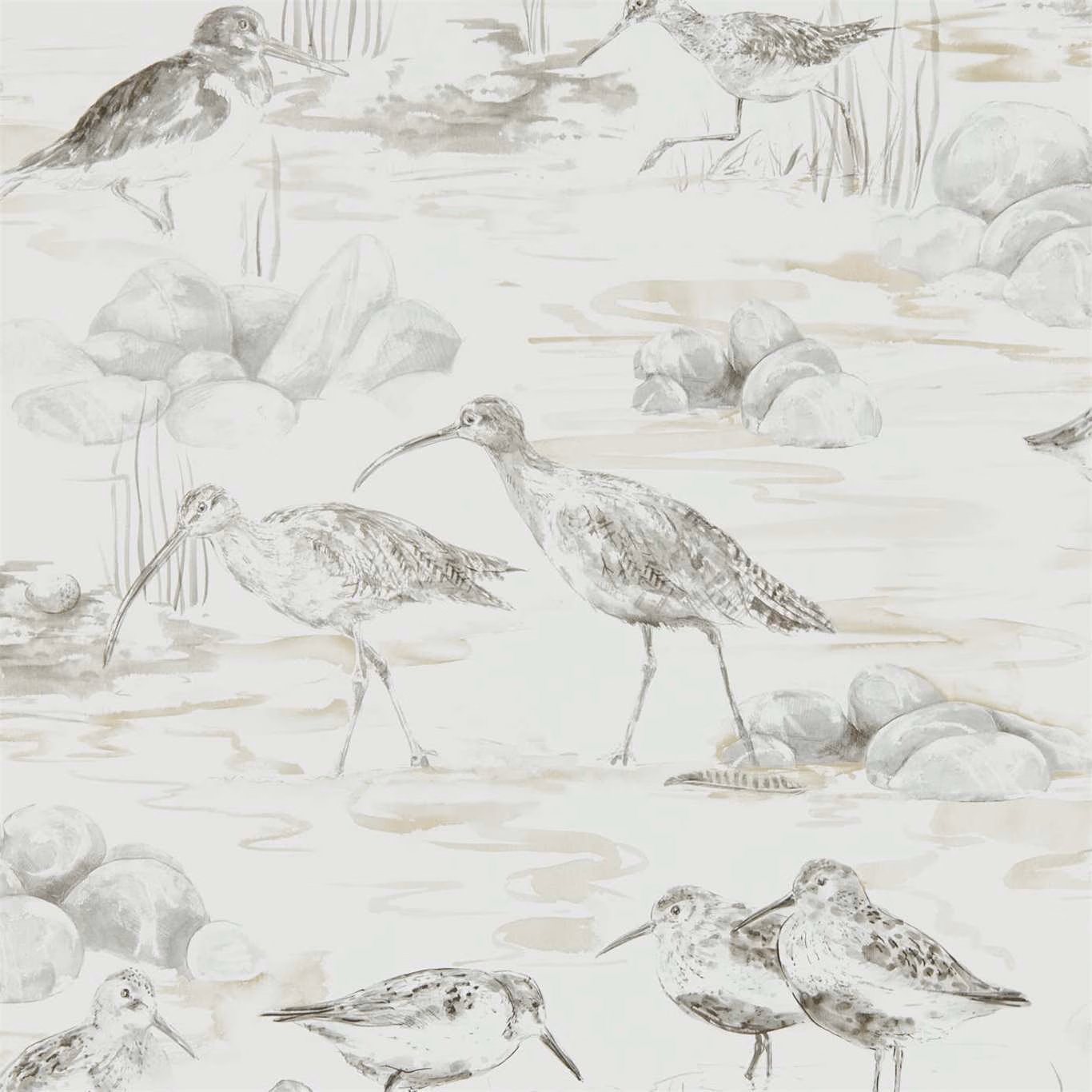 Chalk wallpaper with sepia wading birds, shore rocks and pale water washes