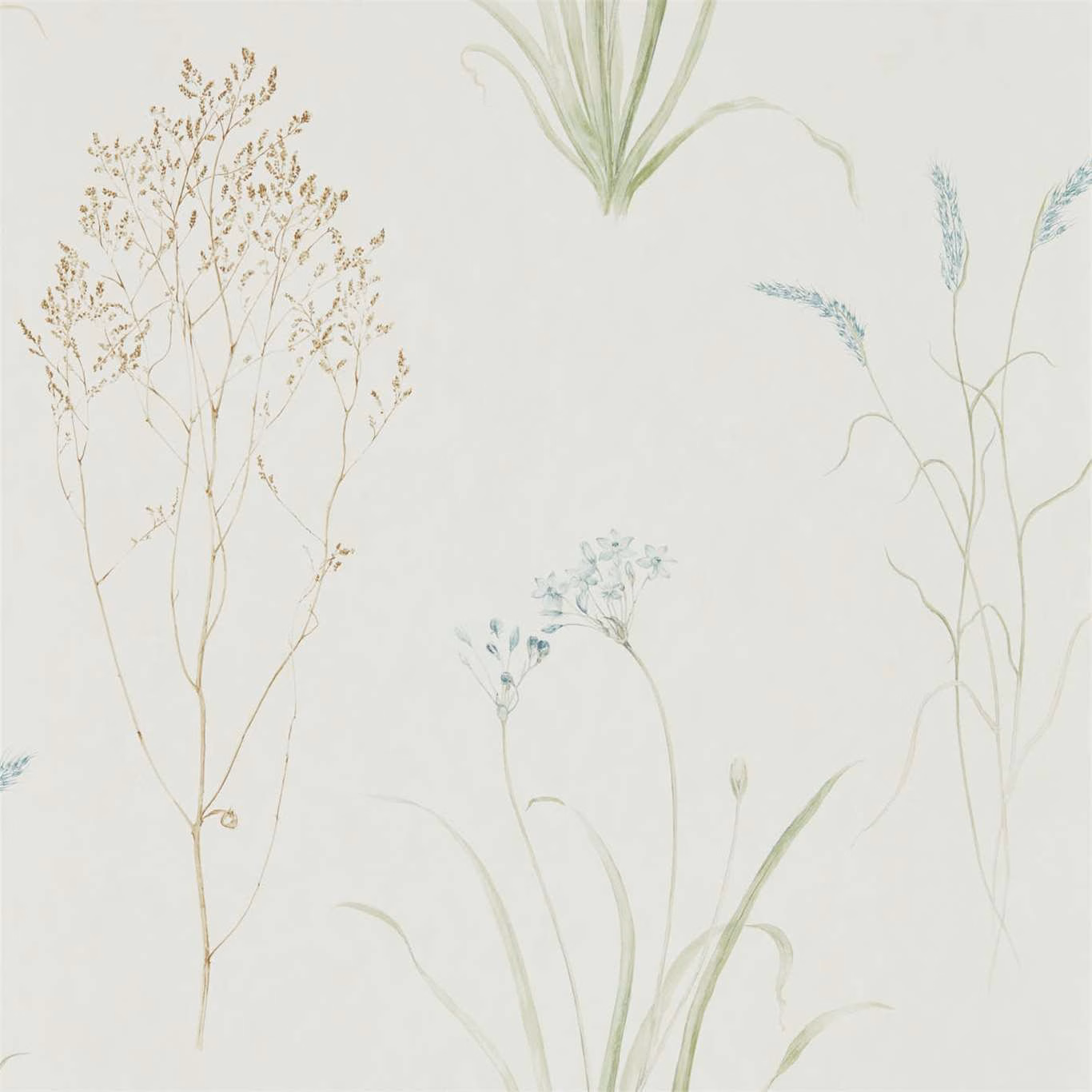 Pale cream wallpaper with airy sage grasses, seed heads and fine blue-grey stems