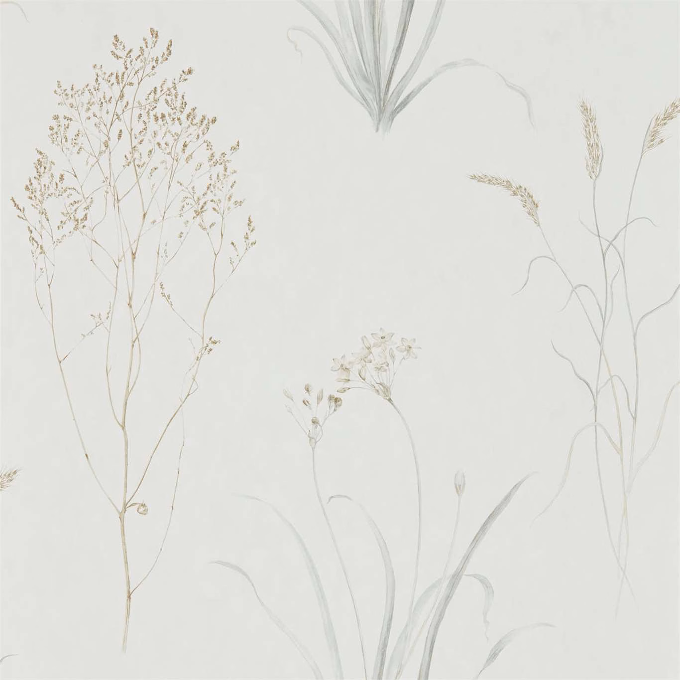 Pale ivory wallpaper with airy silver grasses and delicate taupe seedheads