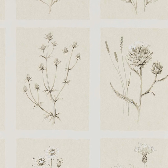 Ecru wallpaper with taupe thistle sketches arranged in pale botanical panels