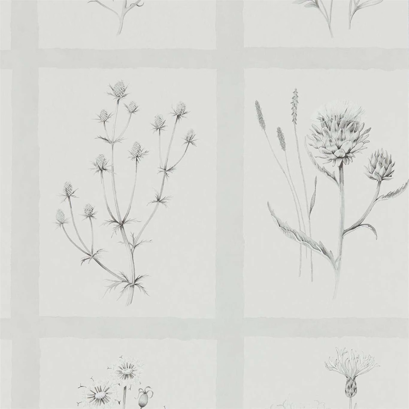 Pale pewter wallpaper with fine thistle sketches arranged in quiet rectangular panels