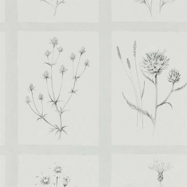 Pale pewter wallpaper with fine thistle sketches arranged in quiet rectangular panels