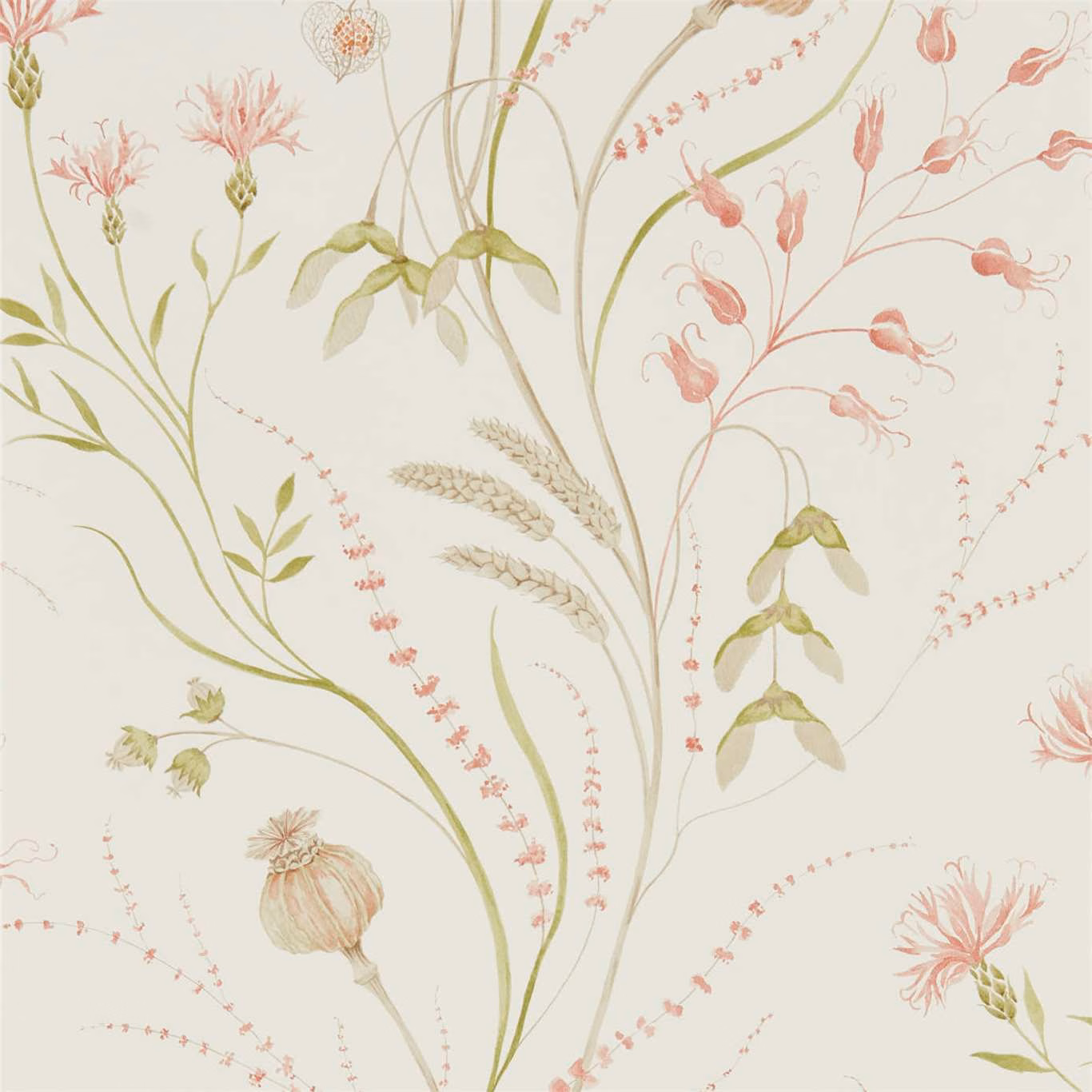 Claret and olive botanical stems with wheat heads on a warm cream ground