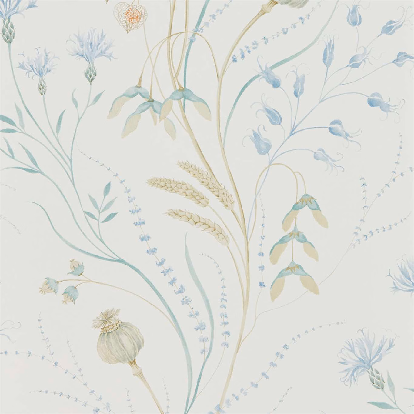 Pale wheat wallpaper with cornflower-blue wildflowers and delicate sage stems