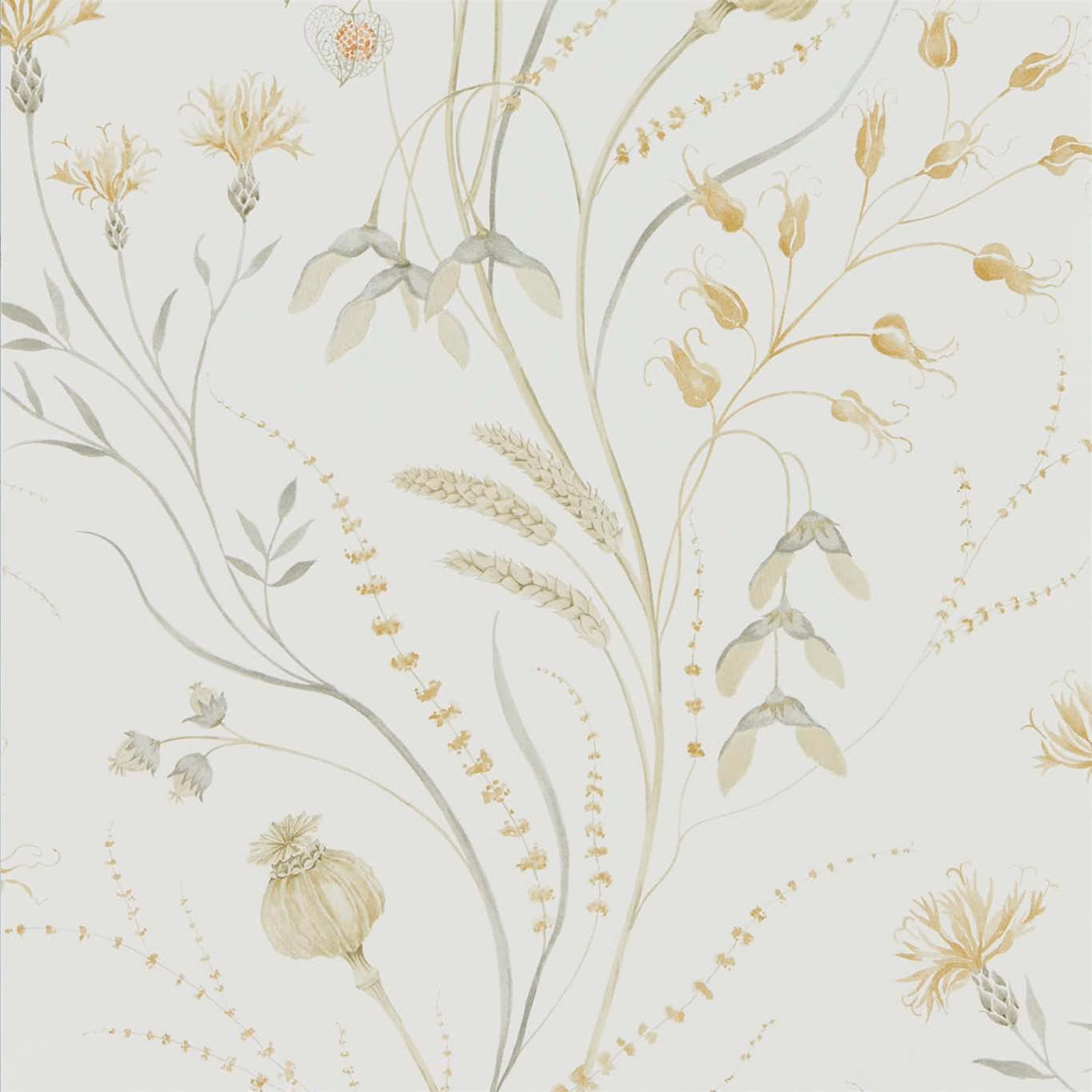 Pale silver wallpaper with sage stems, wheat ears and muted corn botanical flowers