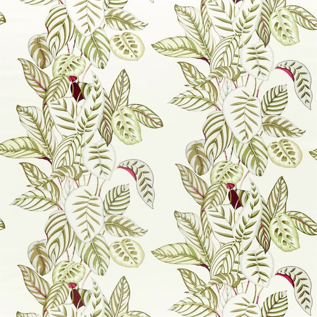 Olive and sage calathea leaves with pink accents on a pale cream ground