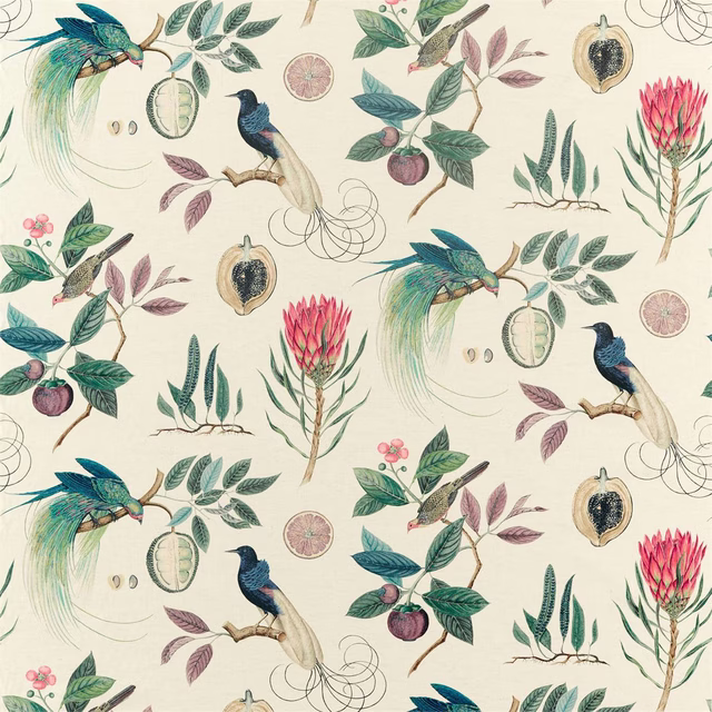 Cream fabric swatch with colourful birds, fruit and tropical botanicals