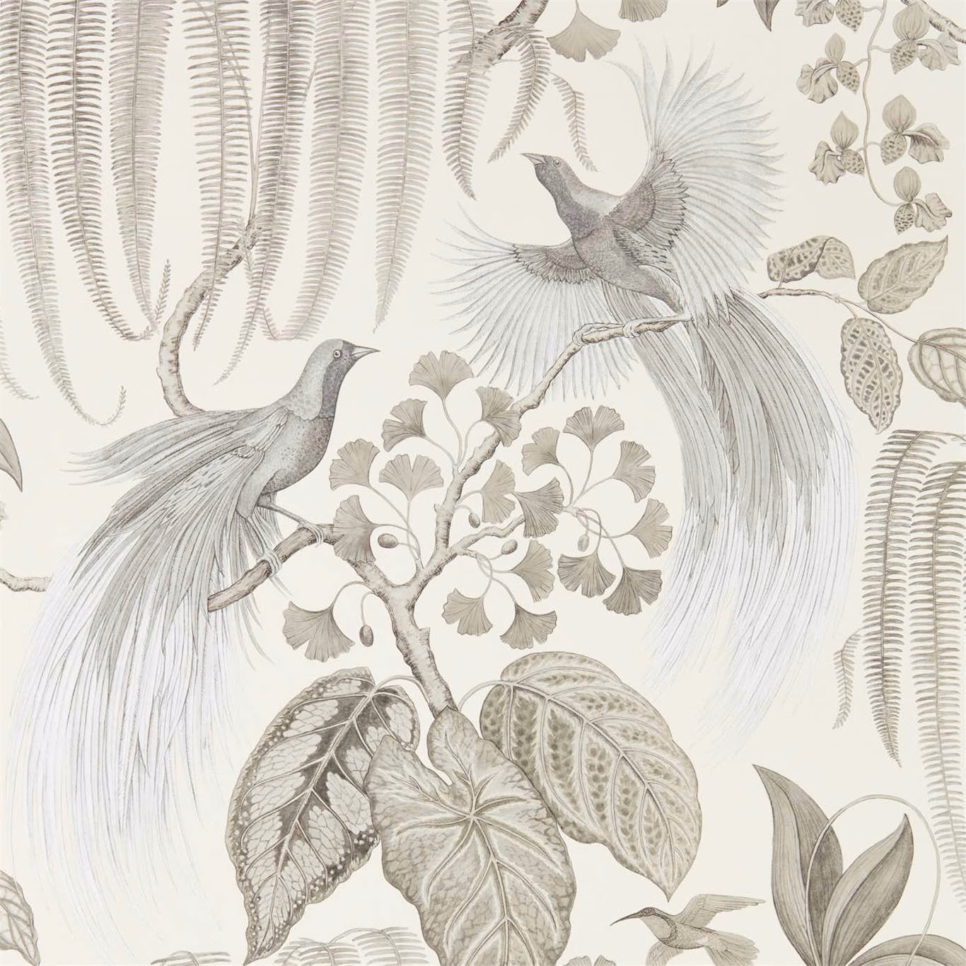 Ivory wallpaper with soft grey birds, leafy branches and sweeping fern fronds
