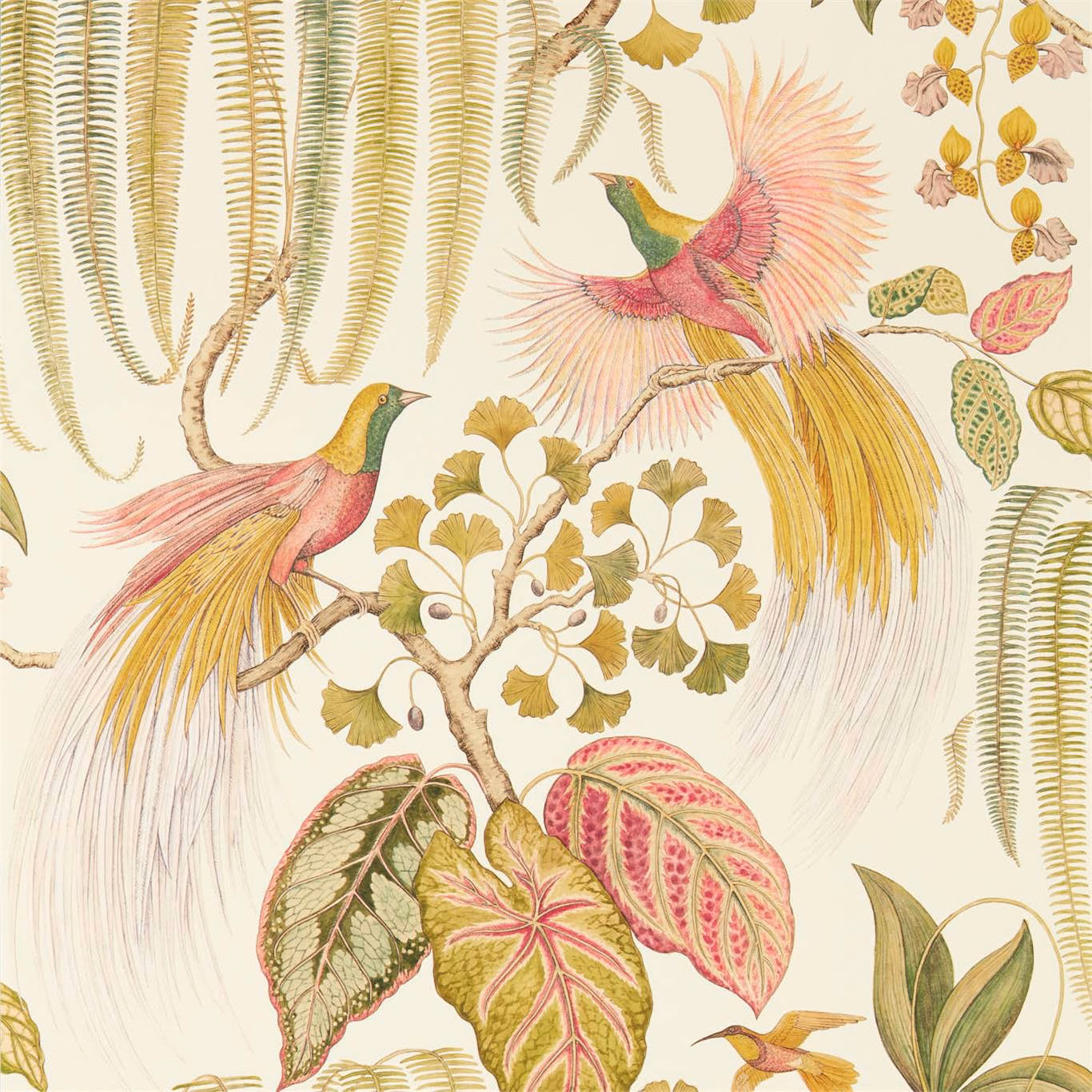 Olive fern fronds and coral birds with sweeping golden tails on ivory
