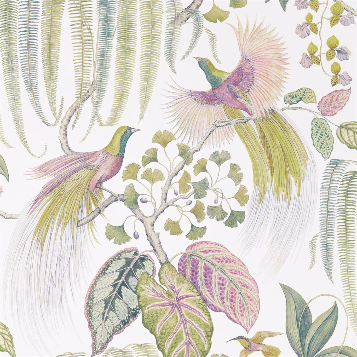 Orchid-pink birds and trailing green foliage on a white botanical wallpaper ground