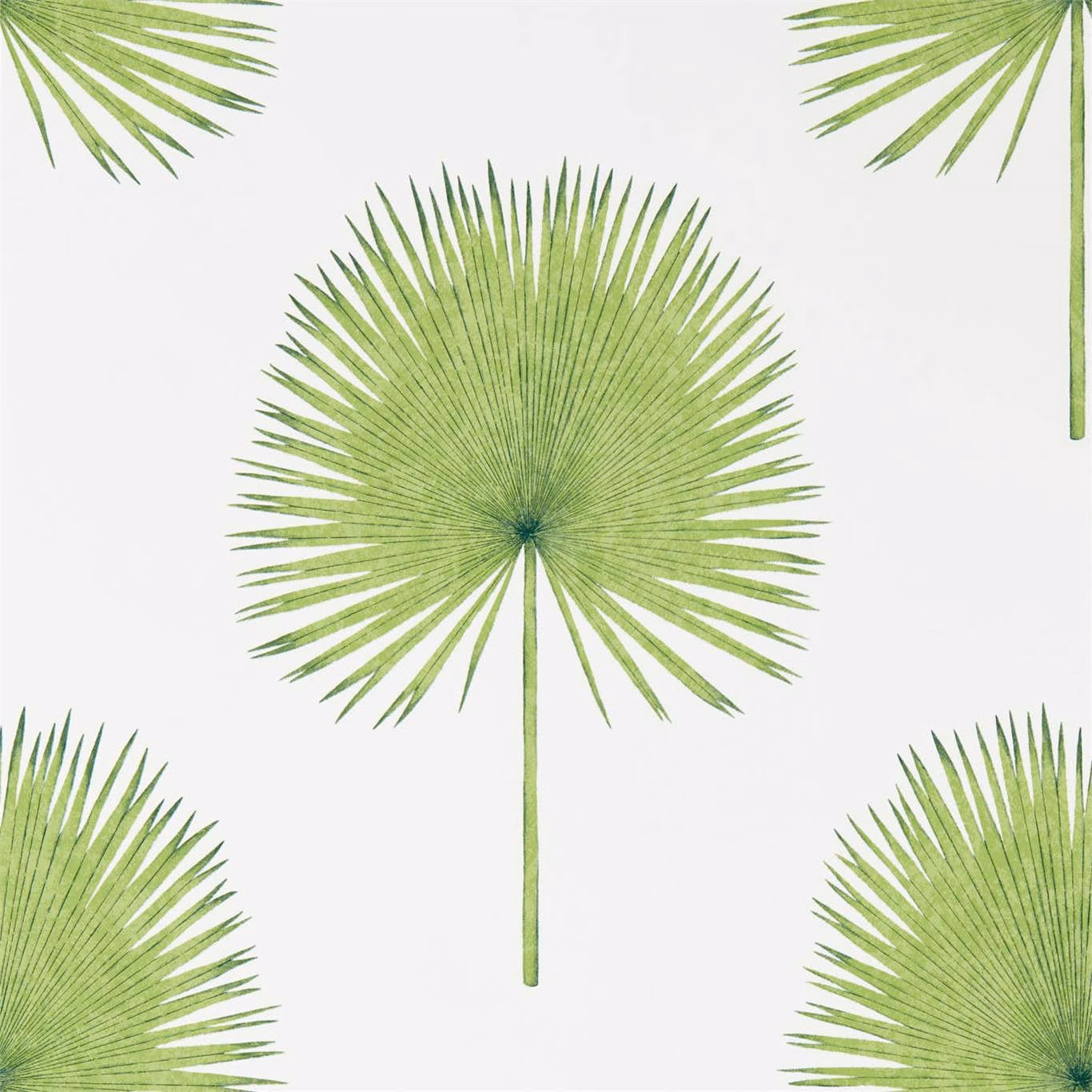 Lime and olive green fan palm fronds on a crisp white wallpaper ground