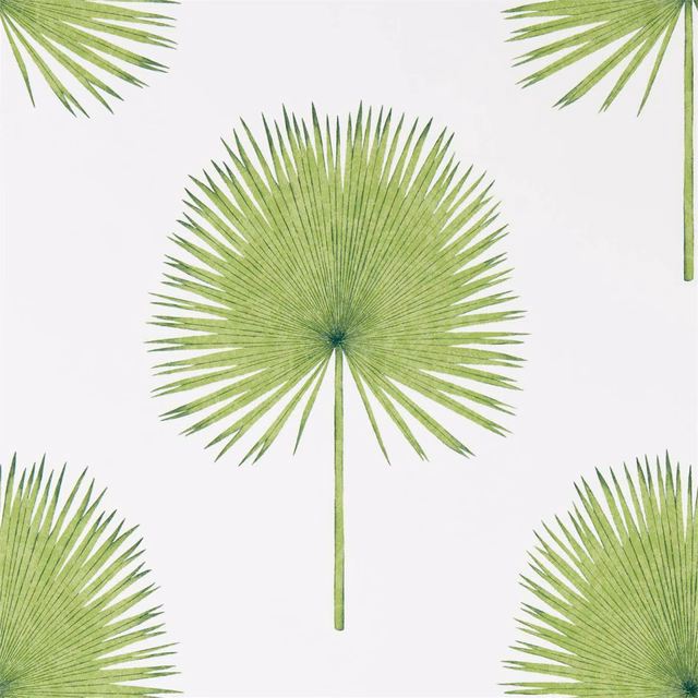Lime and olive green fan palm fronds on a crisp white wallpaper ground