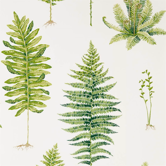 Layered green fern fronds and roots on a pale ivory wallpaper ground