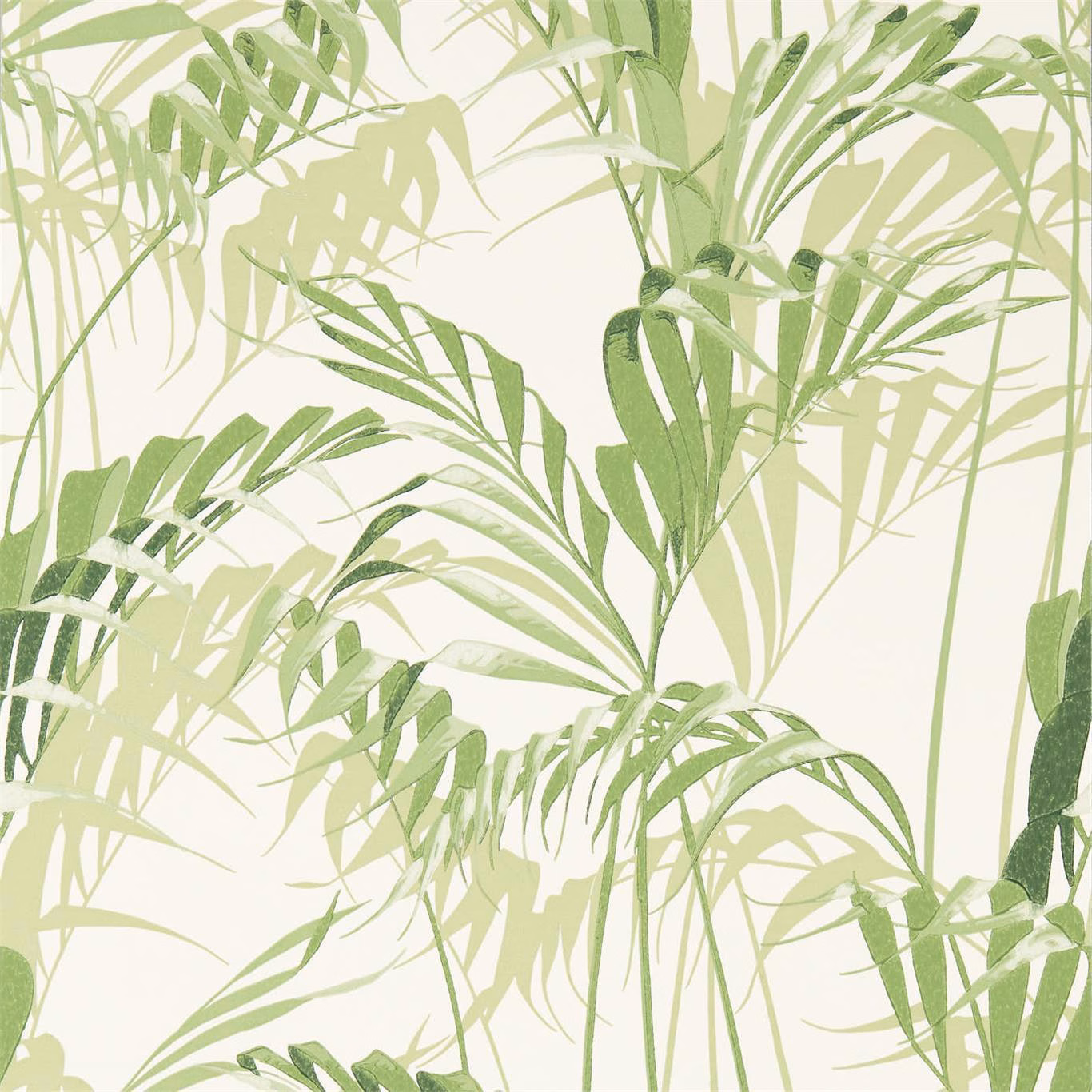 Soft green palm and fern foliage layered over a warm ivory botanical wallpaper ground