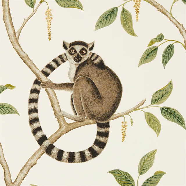Cream wallpaper with an olive-leaf canopy, ring-tailed lemur and branching woodland illustration.