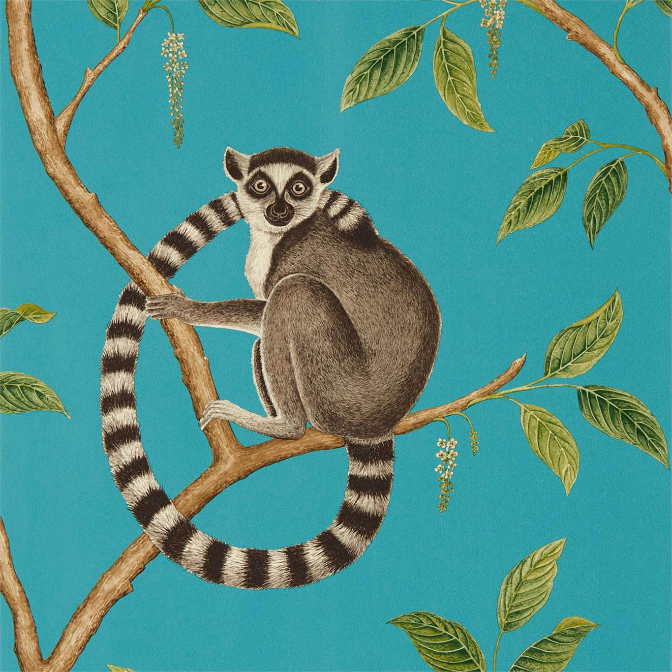 Saturated teal wallpaper with a ring-tailed lemur, branches and olive leaves
