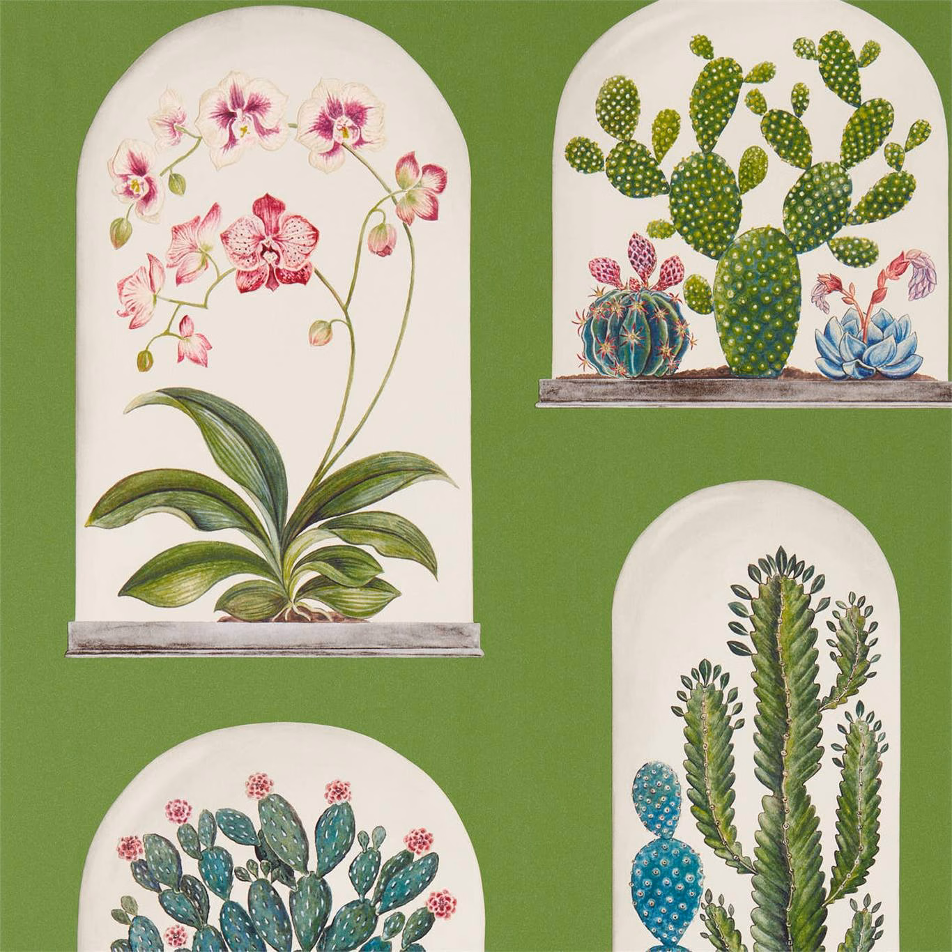Green wallpaper with cream arched panels of orchids and prickly pears