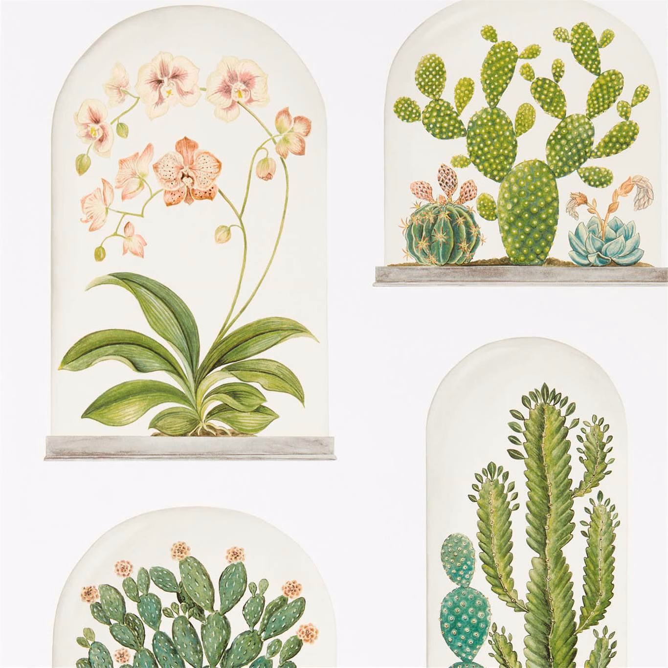 Chalk-ground wallpaper with green cactus arches and delicate pink botanical flowers