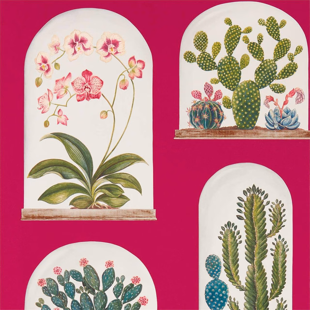 Saturated magenta wallpaper with arched orchid, cactus and succulent botanical panels